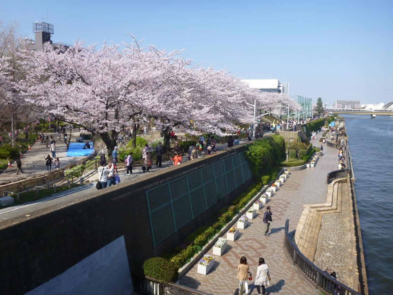 Hotel New Tochigiya Tokyo Dış mekan fotoğraf